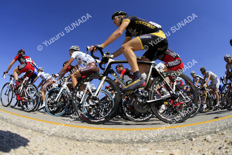 Peloton001p.jpg